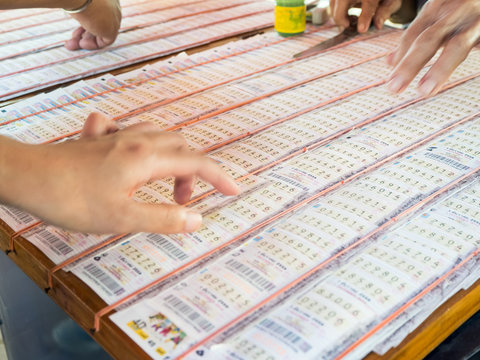 选择合适的彩票品牌